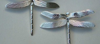 dragonfly Tamizan